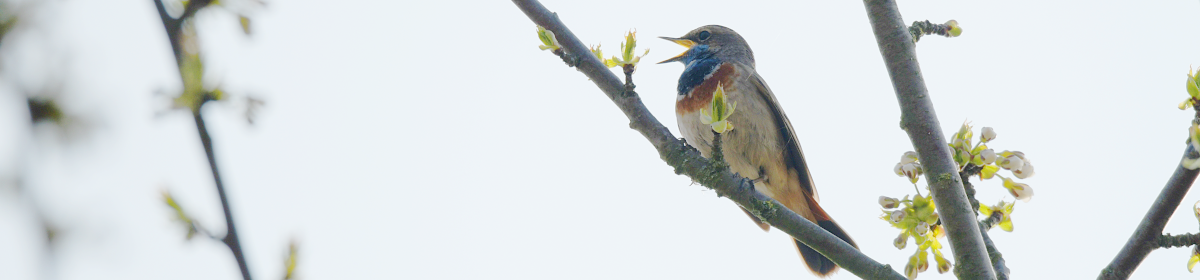 Снимка, подходяща за месеца
